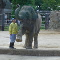 Zoo de Ueno